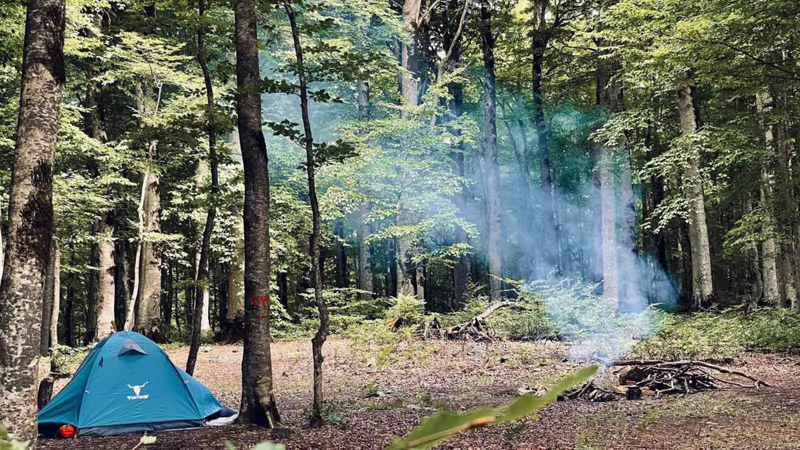 نسبت به طبیعت مسئولیتپذیر باشیم