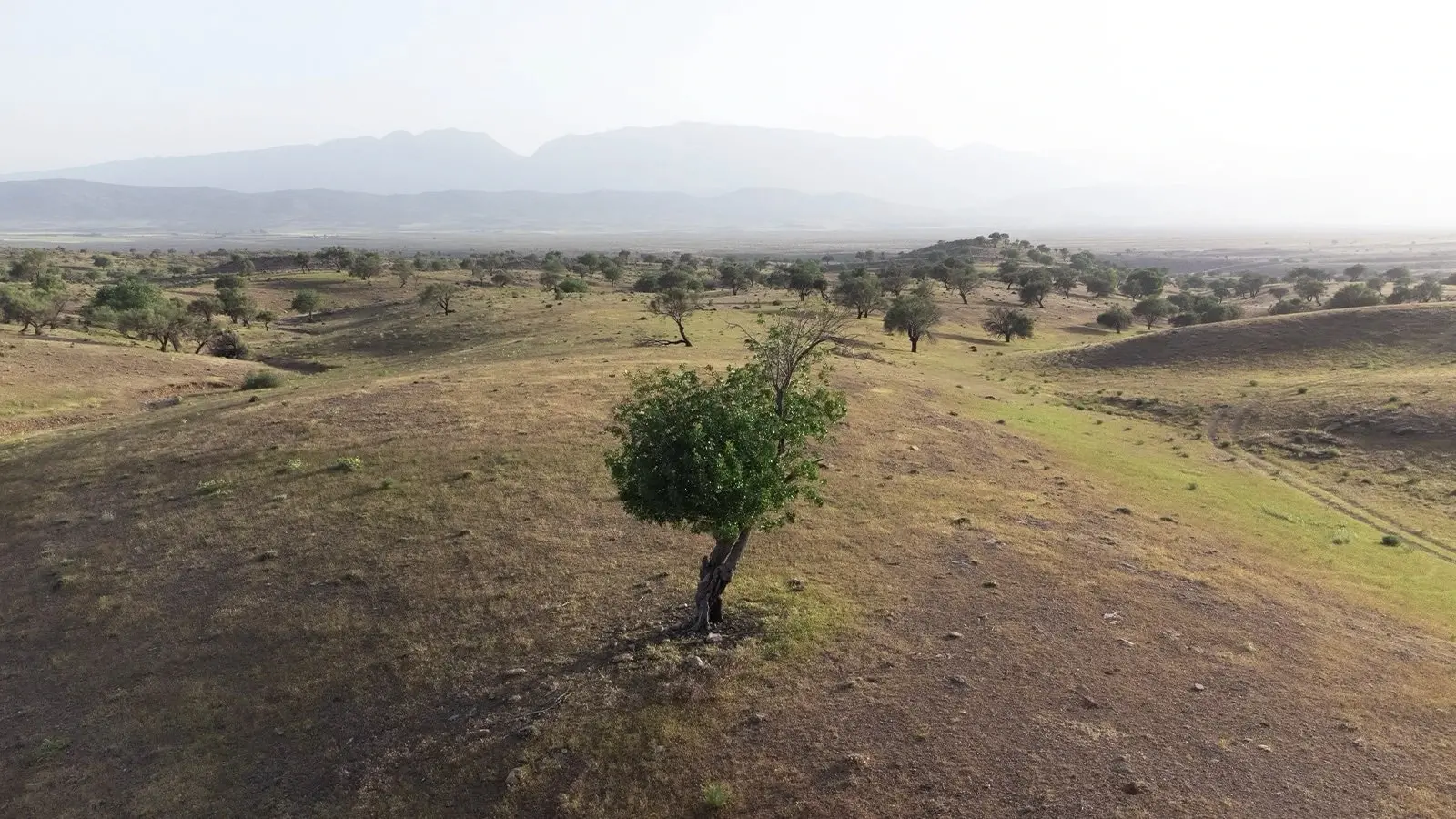 سفرهای لغوی در دلتا